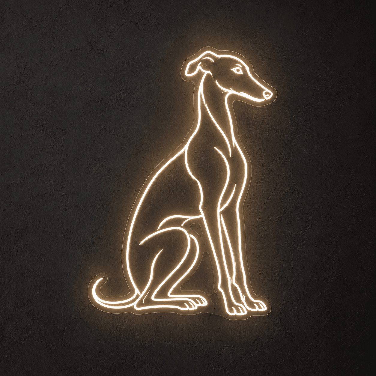 Warm white neon outline of a seated whippet on a charcoal wall.